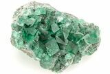 Fluorescent Green Fluorite w/ Galena - Diana Maria Mine, England #208883-2